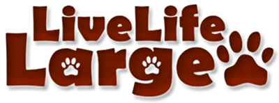 Live Life Large Collars